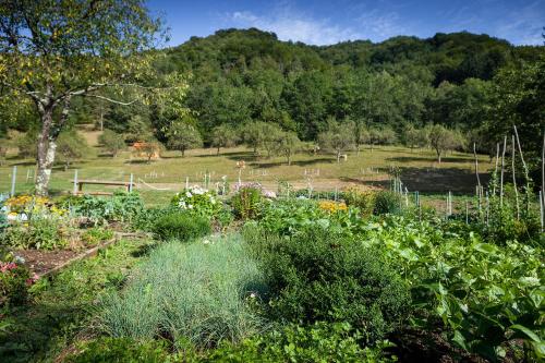 Tourist Farm Zelinc - image 7