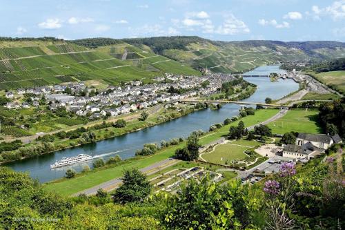 Weinstube Pension Moselblümchen - Zeltingen-Rachtig