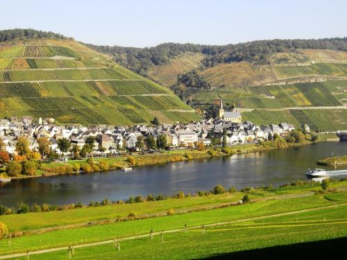 Weinstube Pension Moselblümchen - Zeltingen-Rachtig