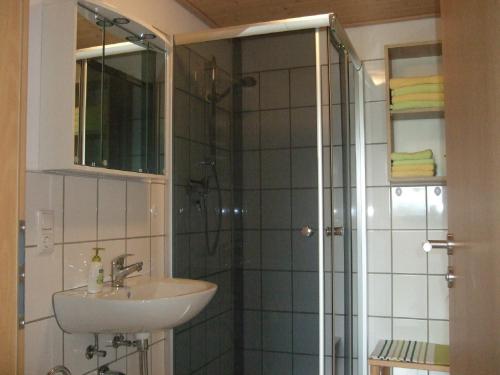 Bathroom, Ferienwohnung Bockelt in Stadtlauringen