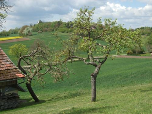 Ferienwohnung Bockelt - image 5