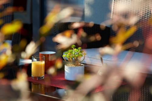 Hotel & Restaurant Wilder Mann - image 2