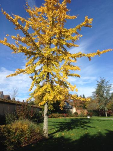 Les Couleurs du Verger