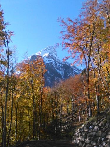 A környék, FEWO Rophaienblick in Isenthal