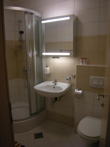 Vila Ema Apartments and Rooms, Ljubljana (Foto 7)
