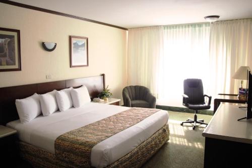 Hotel Sicomoro Room Type - King Room