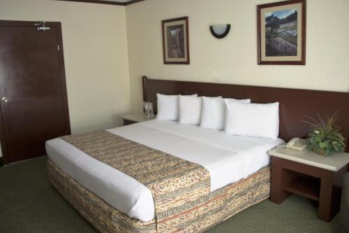 Hotel Sicomoro Hotel Sicomoro is a popular choice amongst travelers in Chihuahua, whether exploring or just passing through. The hotel has everything you need for a comfortable stay. All the necessary facilities, in