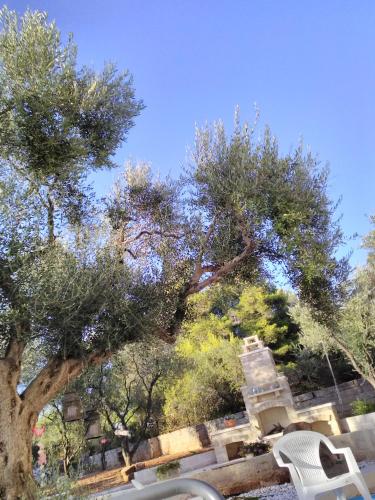 Nel Giardino di Isabel