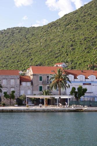  Apartments by the sea Trpanj, Peljesac - 10107 in Trpanj