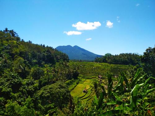 Pondok Batur Indah