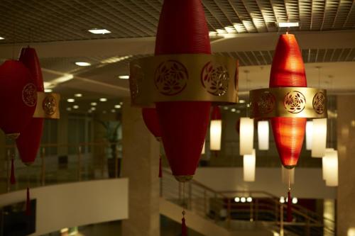 Hanoi-Moscow Aparthotel - image 8