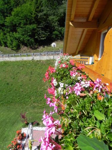 Sole Levante - Accommodation - Malè