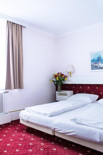 Pension Pharmador – Vienna, NY