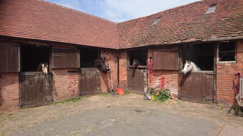 Church Farm Accomodation - image 3