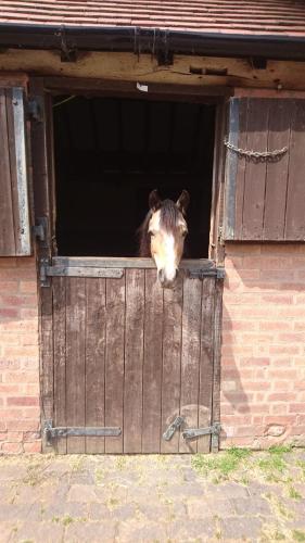 Church Farm Accomodation - image 4
