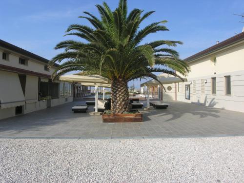 Stabilimento balneare Bragozzo - Apartment - Lido di Camaiore