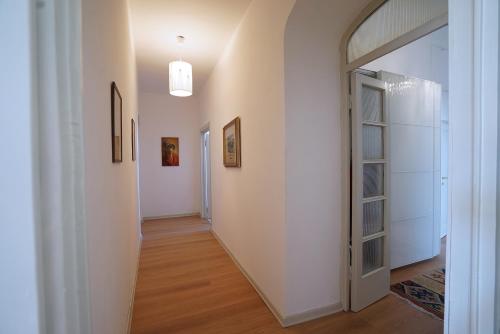Soderini Palace - image 3