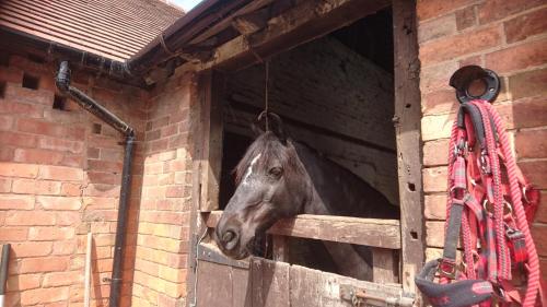 Church Farm Accomodation - image 2