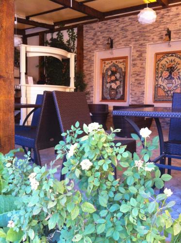 Jardín, Voila Inn in Constanta