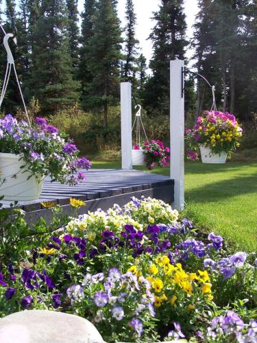 Denali Primrose Bed & Breakfast - 전망