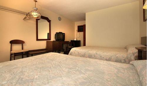Dolphyn Motel - image 4
