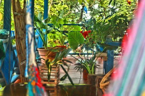 Mosana Reef Garden B&B