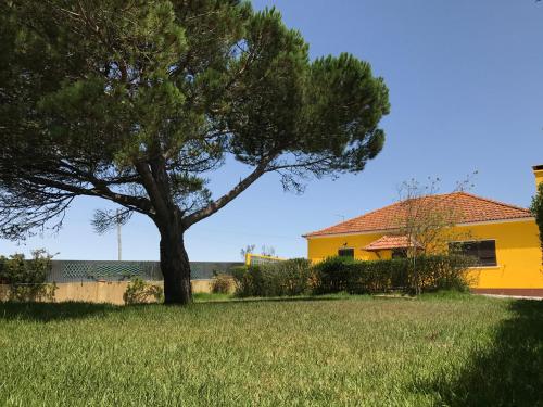  A Casa do Pai, Pension in Mafra bei Vila Pouca