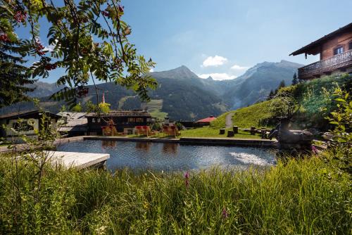 MONDI Bellevue Alm Gastein 3