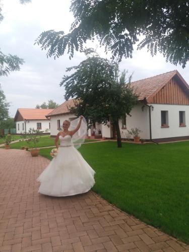 Tóth Vendégház és Apartmanház Újfehértó - image 4