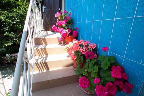 Mila Guest House photo