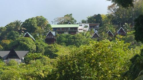 B&B Anse Volbert Village - Mango Lodge - Bed and Breakfast Anse Volbert Village