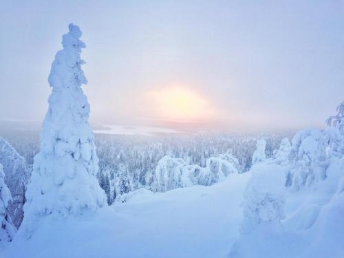 Villa Saarua by the Slopes, hike, ski tracks and Family Park, free wifi