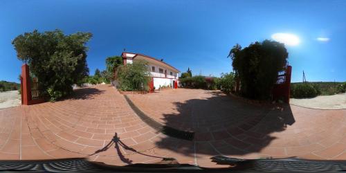

Case Vacanze San Calogero