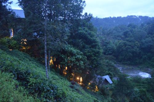 Moselberg Riverside Cottages