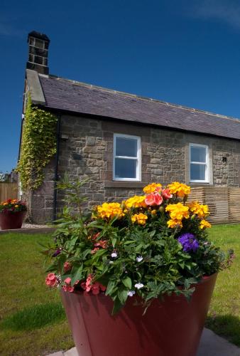 Inglenook a Wandylaw Cottage, a cosy one too gîte à louer East Ditchburn Tower