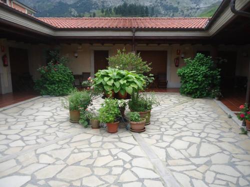 Hotel Arenas de Cabrales- apartamentos