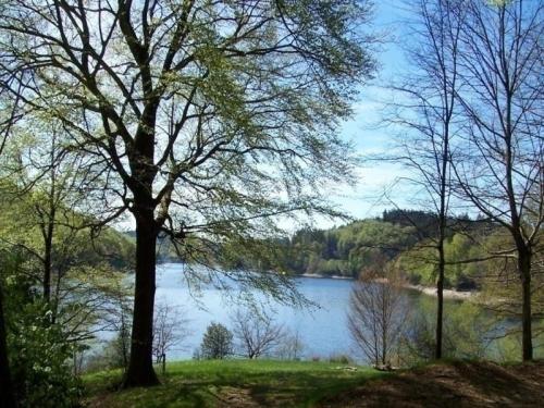 House Village gites la planette g9