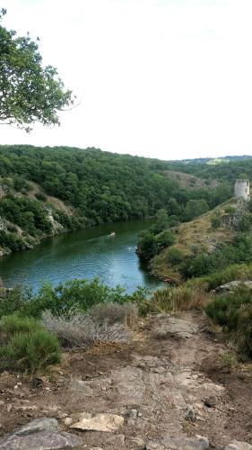 Les Fougères Du Lac