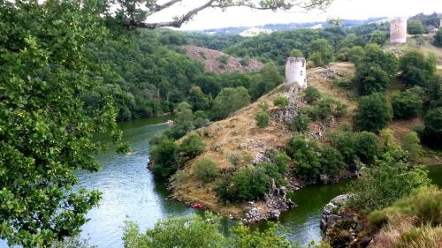 Les Fougères Du Lac