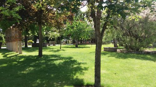 Centro San Viator 2
