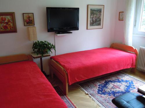Apartma Dobrna - Apartment