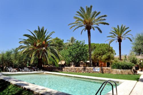 Zwembad, Petit Hotel Es Figueral in Campos