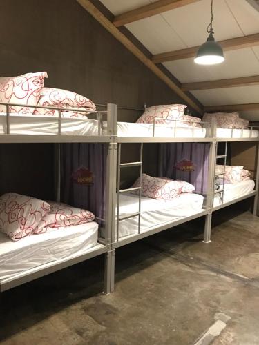 Bed in 6-Bed Female Dormitory Room image 3