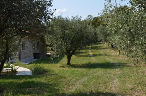 Agriturismo Bosco Magico