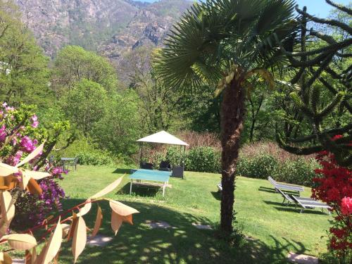 View, Camera famigliare  in Locarno