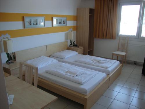 Lenas Donau Hotel - image 2