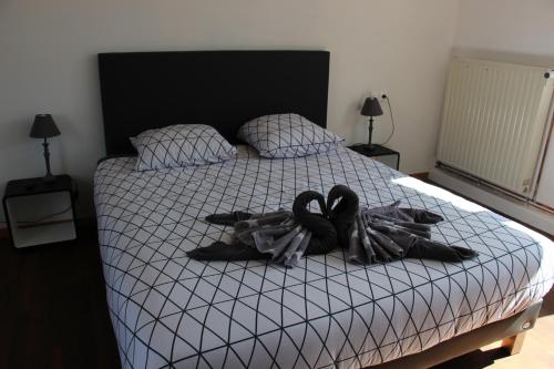 Ferme Du Pre Vert - Chambres d'hôtes B&B
