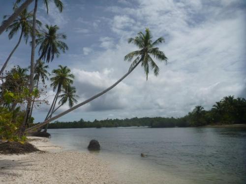 Nyang nyang Surf Camp
