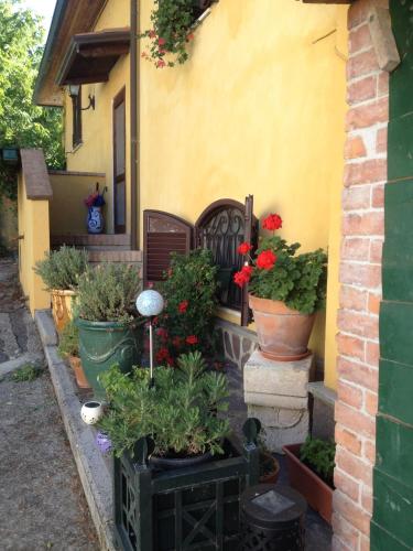 Podere La Piana - image 2