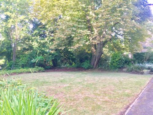 ทัศนียภาพ, Ranmoor Serviced Apartments Garden Suite in ฟุลวูด